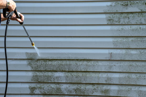 Best Shed Removal  in Stewart Manor, NY
